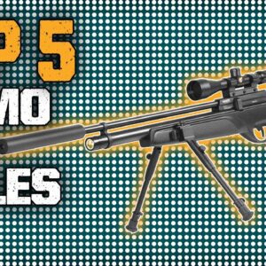Best Gamo Air Rifles In 2023 | Top 5 Latest Gamo Air Rifles For Hunting