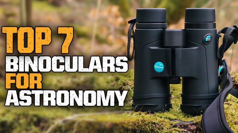 Top 7 Best Binoculars For Astronomy And Bird Watching