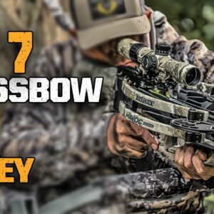 Best Crossbow For The Money | Top 7 Most Powerful Crossbows On A Budget